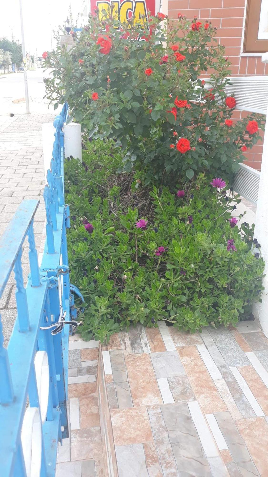 Vila Shuka Ksamil Sarandë Exterior foto