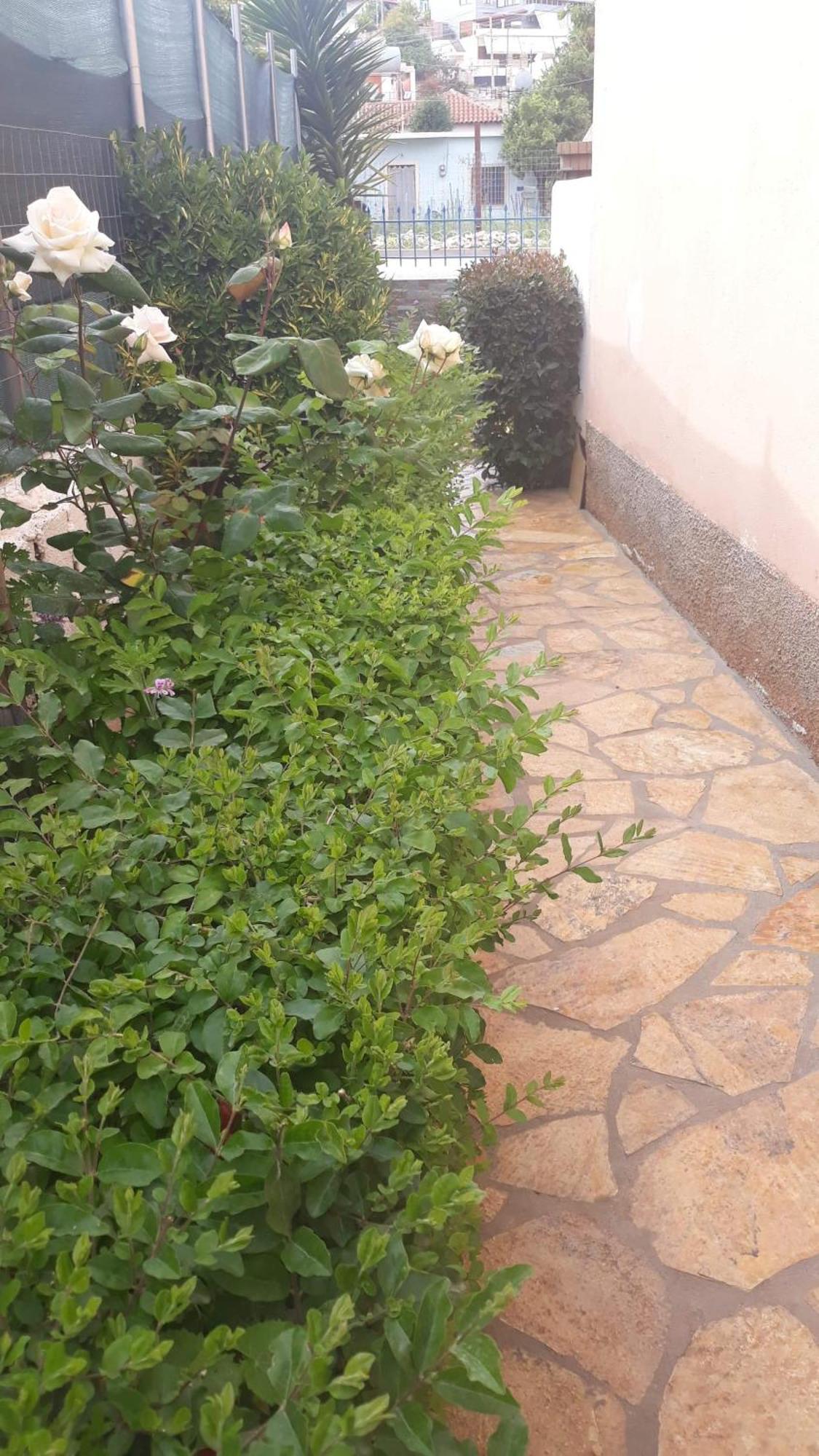 Vila Shuka Ksamil Sarandë Exterior foto